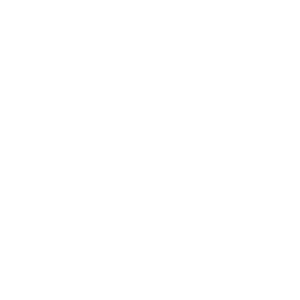 firma rauk