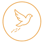 liberar